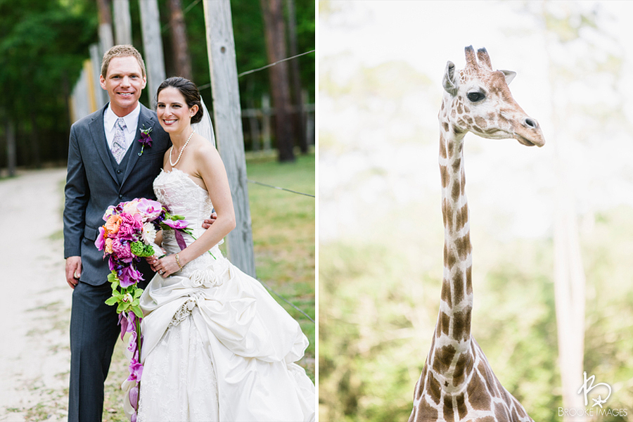 Jacksonville Wedding Photographers, White Oak Plantation, Brooke Images, Ashlee and Allan, Giraffe, Artistic Florist Amelia Island