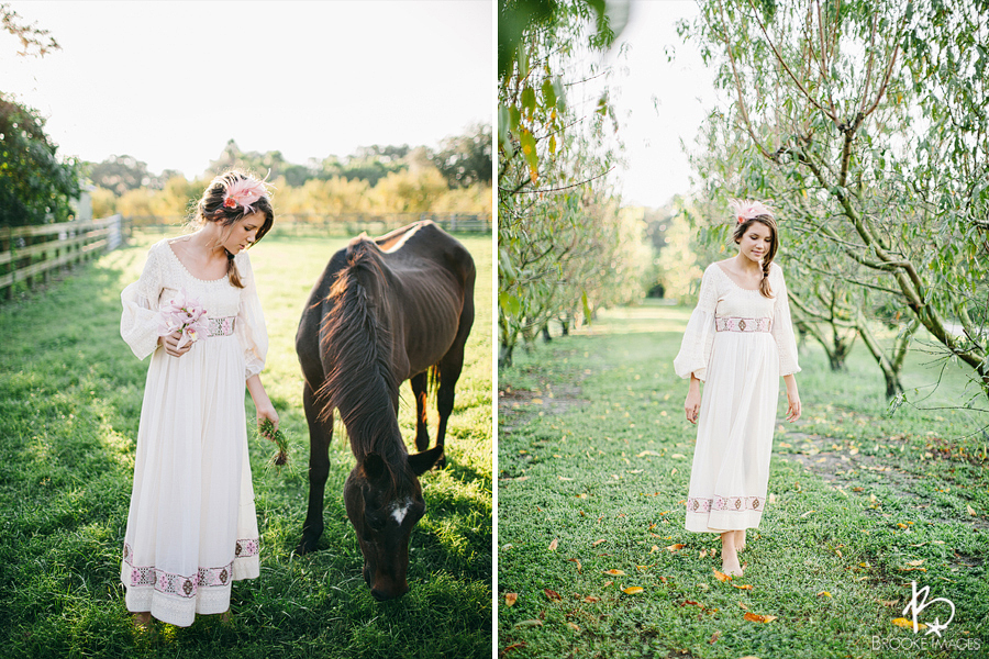 Tampa Bay Wedding Photographers, Brooke Images, King Farm, Bradenton