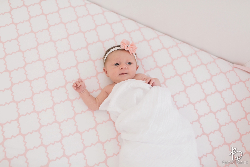 Jacksonville Lifestyle Photographers, Brooke Images, Newborn Session, Blakely's Newborn Session