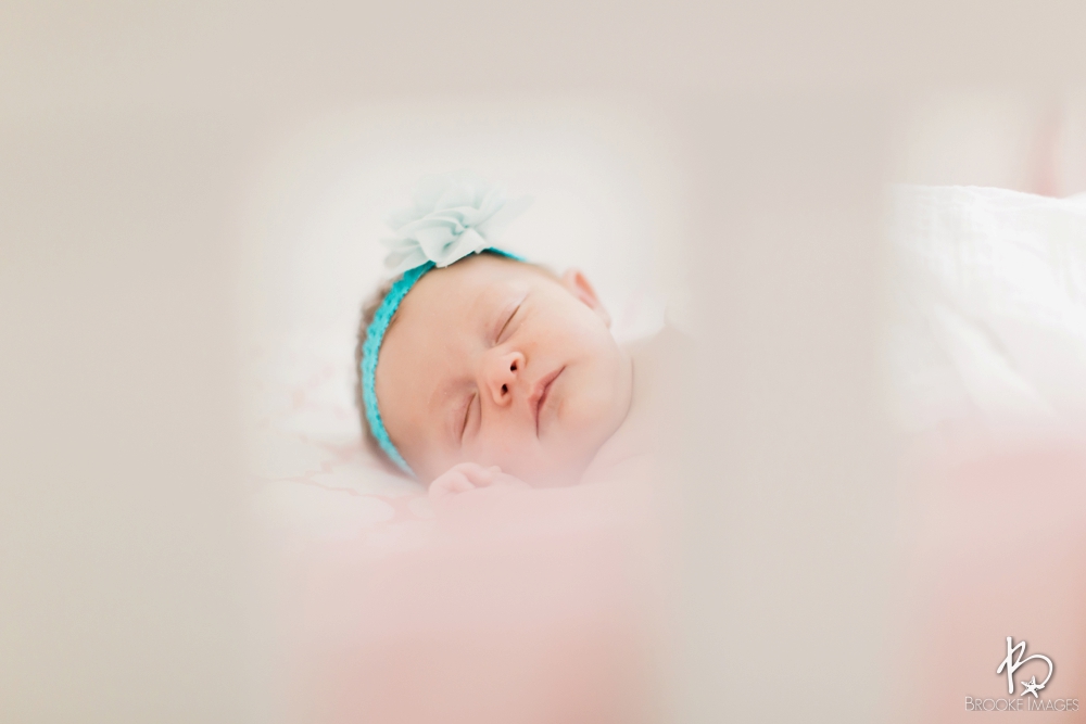 Jacksonville Lifestyle Photographers, Brooke Images, Newborn Session, Blakely's Newborn Session